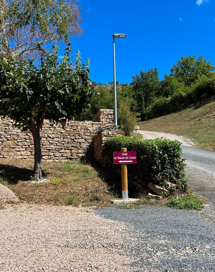 Chambre Au Calme Avec Spa Privatif Gratuit Sud Aveyron Les Palmiers Des Causses Saint-Rome-de-Tarn Екстериор снимка