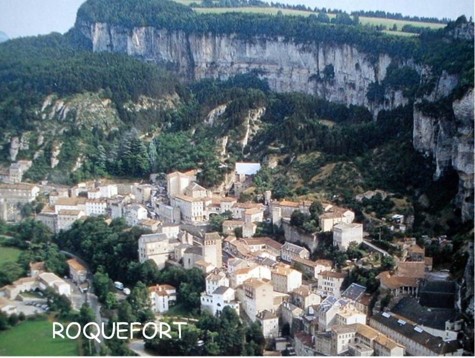 Chambre Au Calme Avec Spa Privatif Gratuit Sud Aveyron Les Palmiers Des Causses Saint-Rome-de-Tarn Екстериор снимка